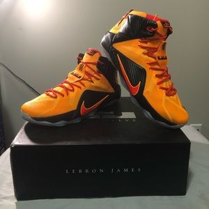 LeBron XII